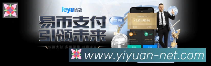 未来规划